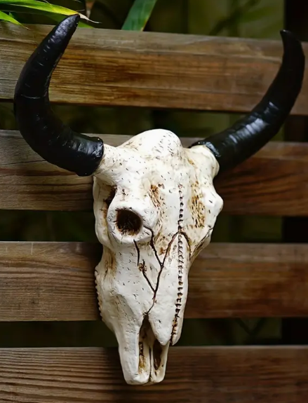 Resin cow skull