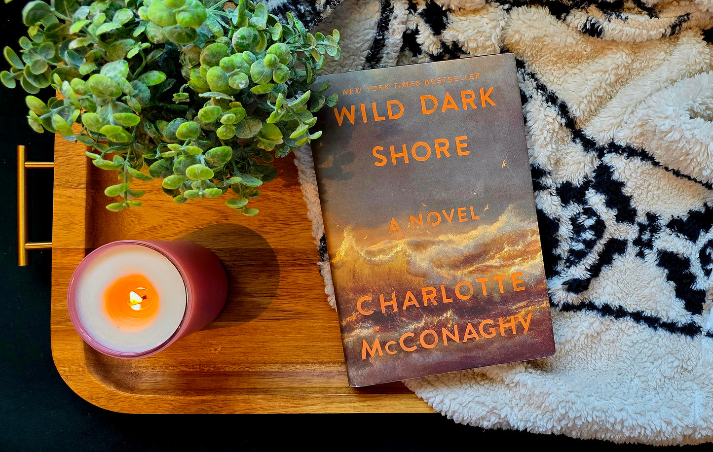 Wild Dark Shore - Charlotte McConaghy - Suspense/Thriller