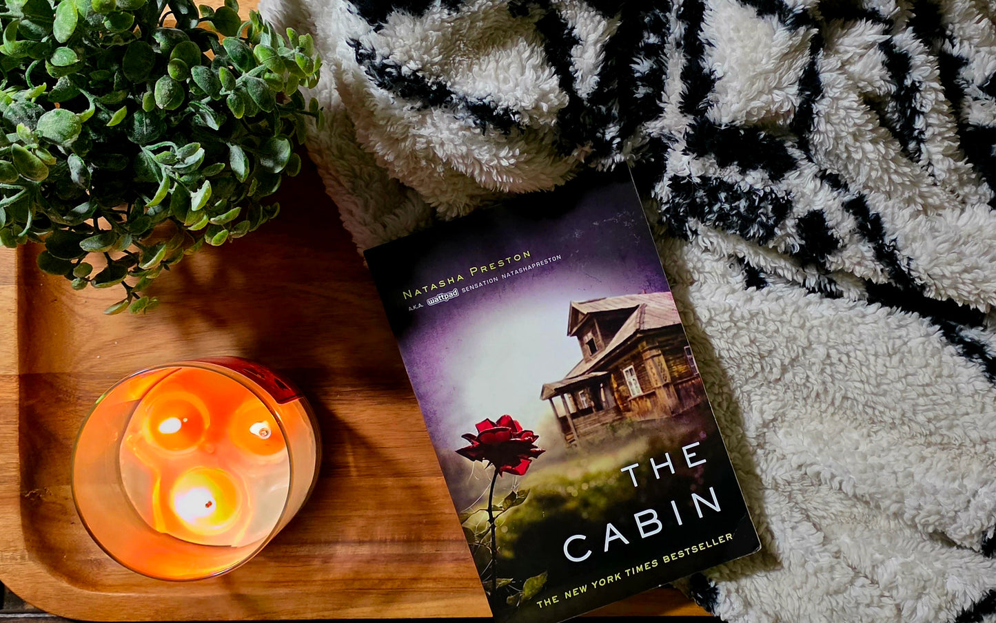 The Cabin- Karen M. McManus- Fiction/Young Adult
