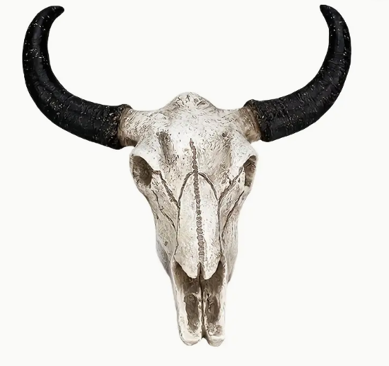 resin cow skull