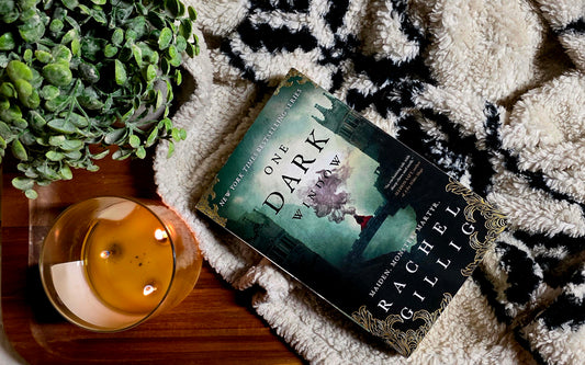 One Dark Window - Rachel Gillig - Fiction/Fantasy