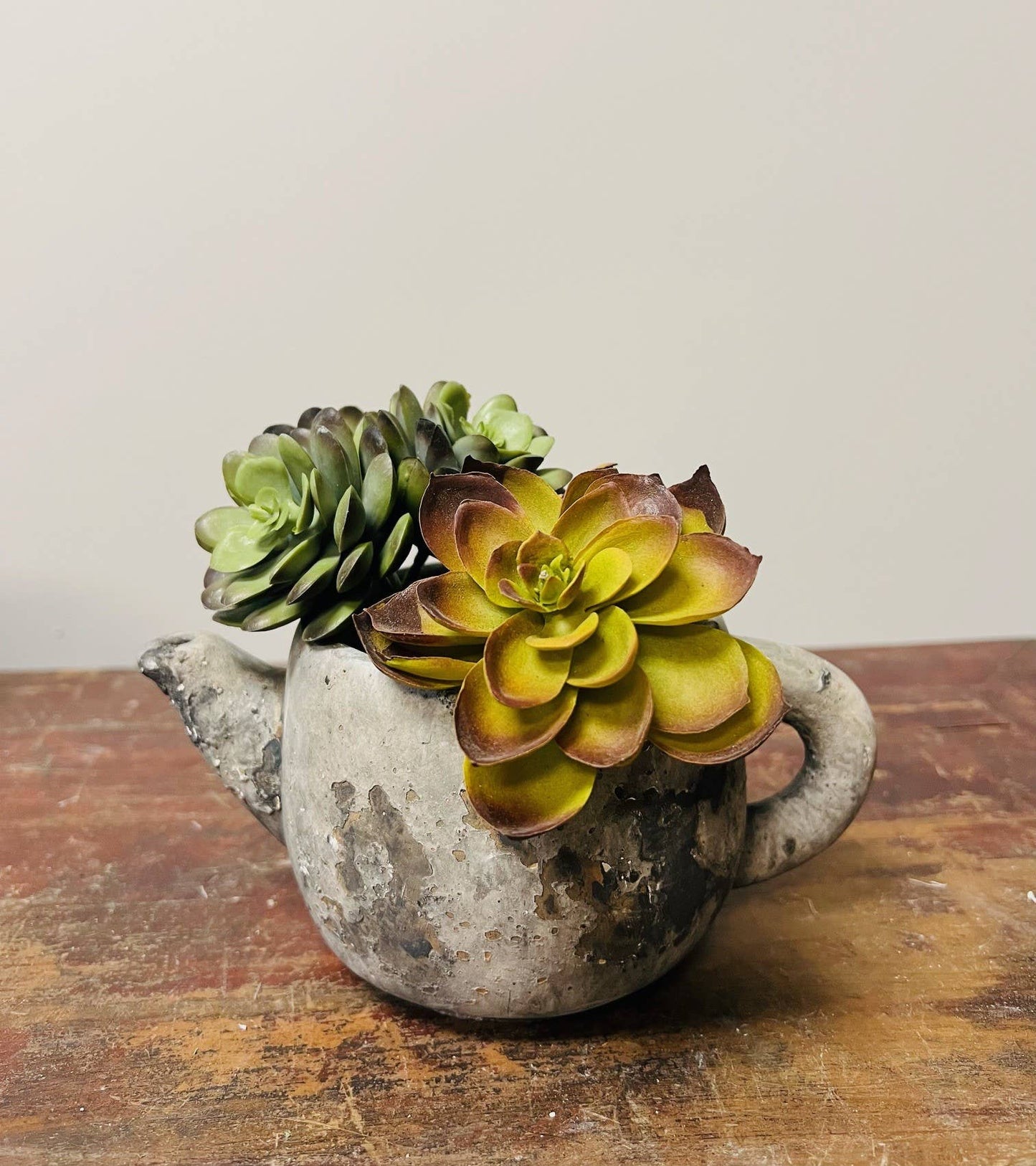 Cement Rustic Teapot Succulent Planter - Medium
