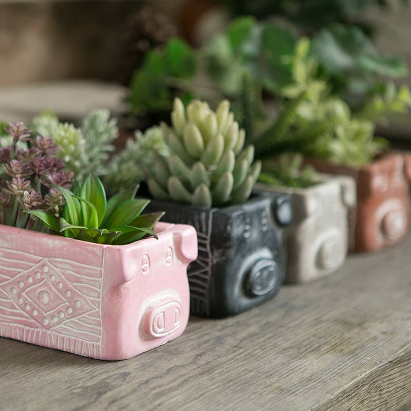 Cement Pig Planter