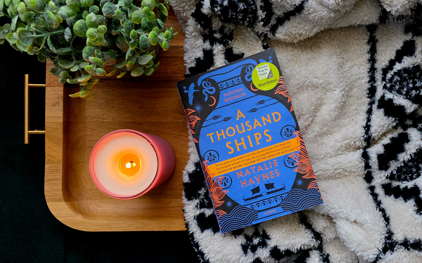 A Thousand Ships - Natalie Haynes - Historical Fiction
