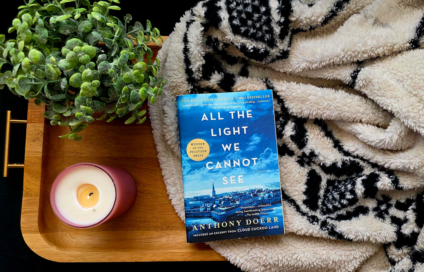 All the Light We Can Not See - Anthony Doerr- Fiction/HIstorical Fiction